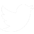DFW Homeopath Twitter